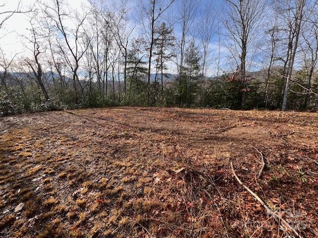 LOT 2 Tobacco Branch Rd. #2, Almond, NC 28702