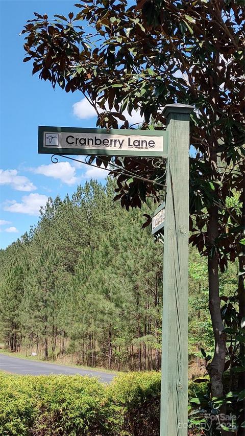 116 Cranberry Ln. #Lot 110, Mooresboro, NC 28114