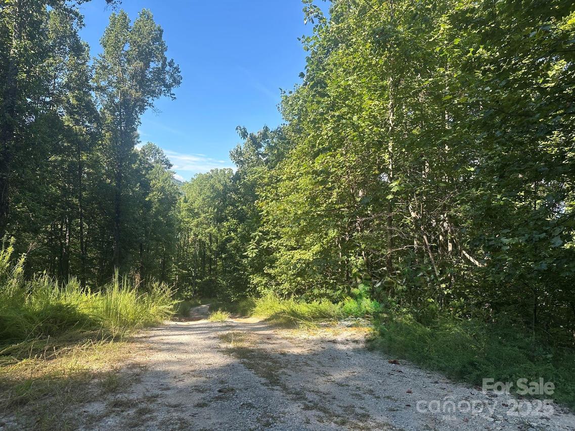 9999 N Woodchuck Ln., Marion, NC 28752