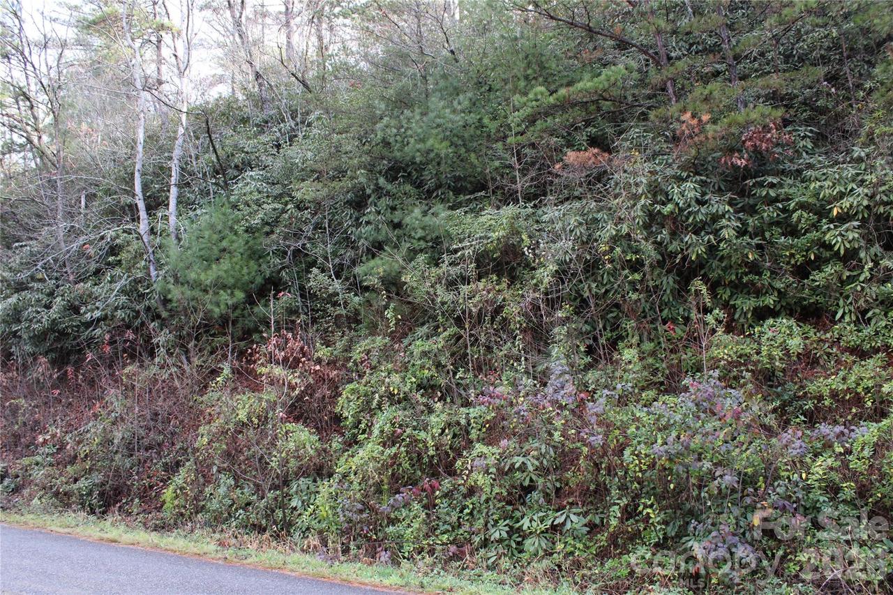 TBD Stamey Creek Rd., Brevard, NC 28712