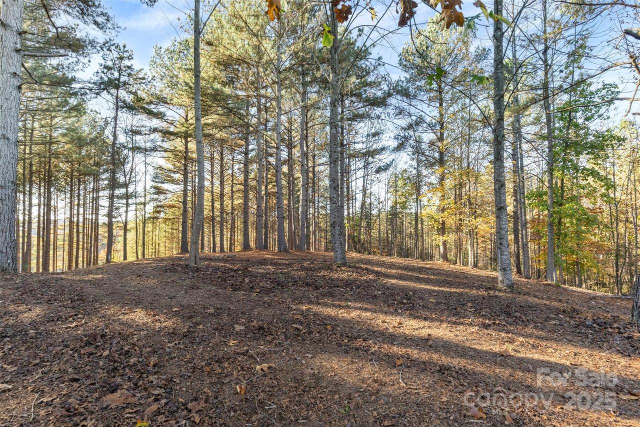 119 Wood Cove Ln., Stony Point, NC 28678