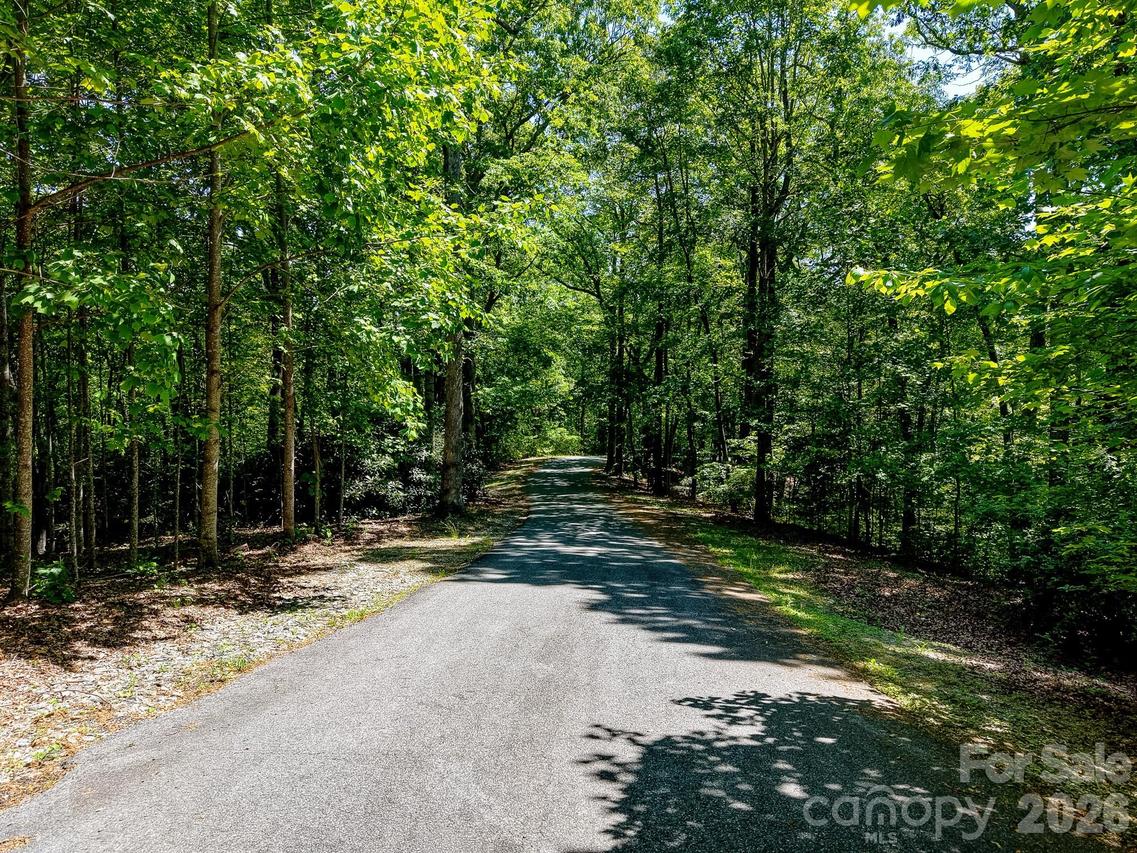 99999 Black Bear Ridge Tr. #27, Zirconia, NC 28790
