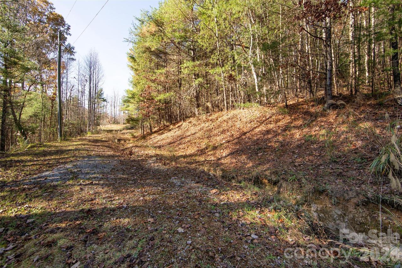 99999 Big Raven Ln., Saluda, NC 28773