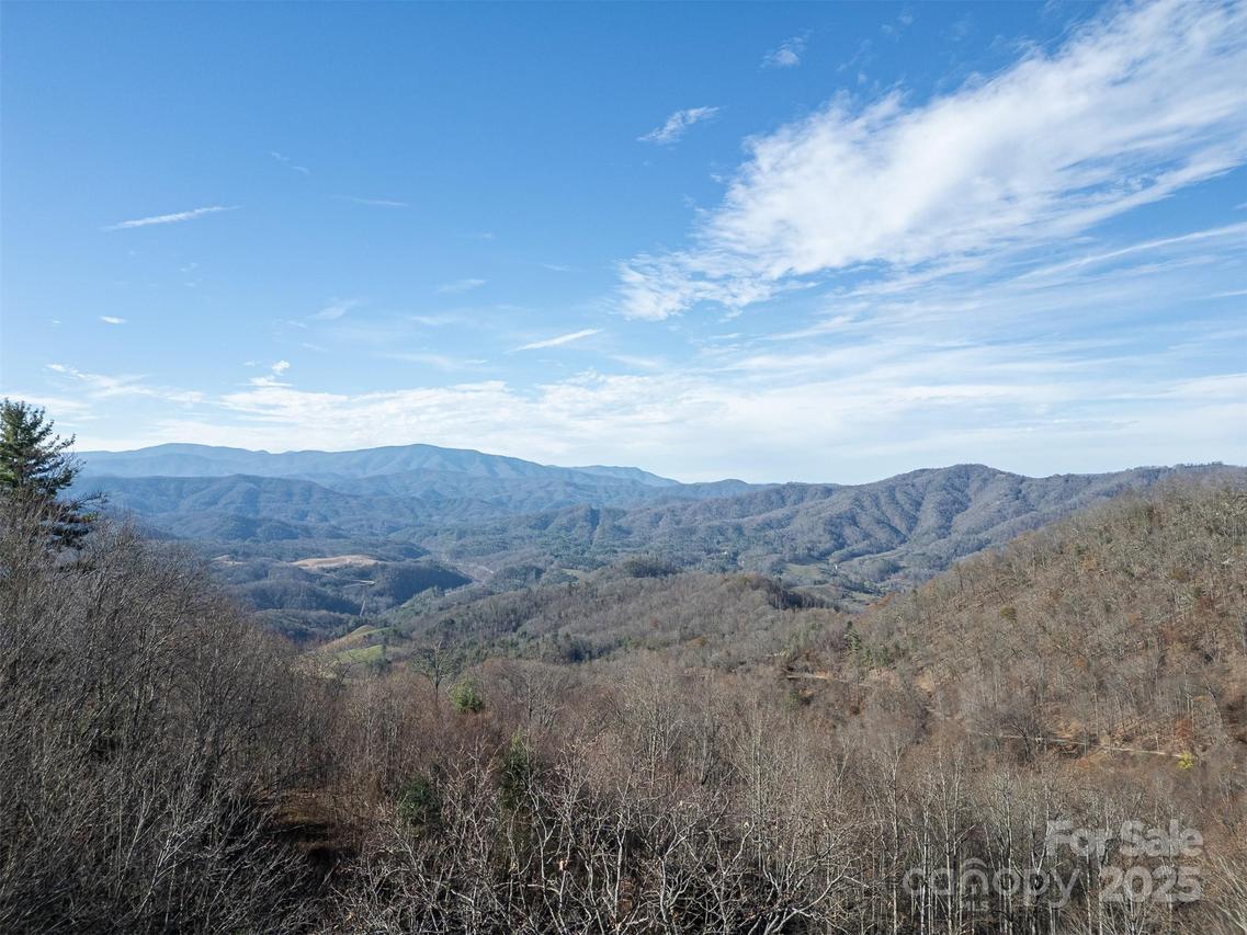 1098 Hyacinth Dr., Clyde, NC 28721