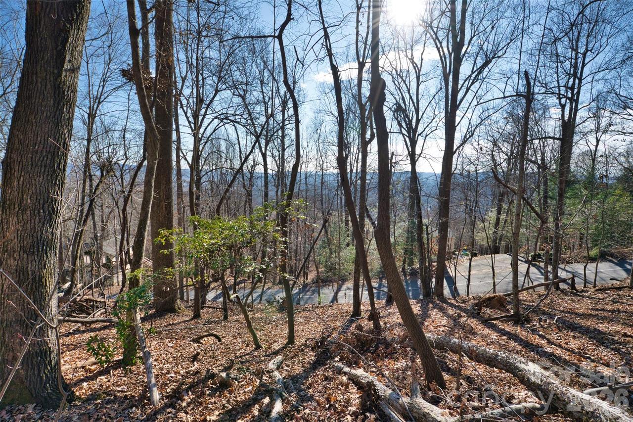 9999 Walnut Dr. #166, Mills River, NC 28759