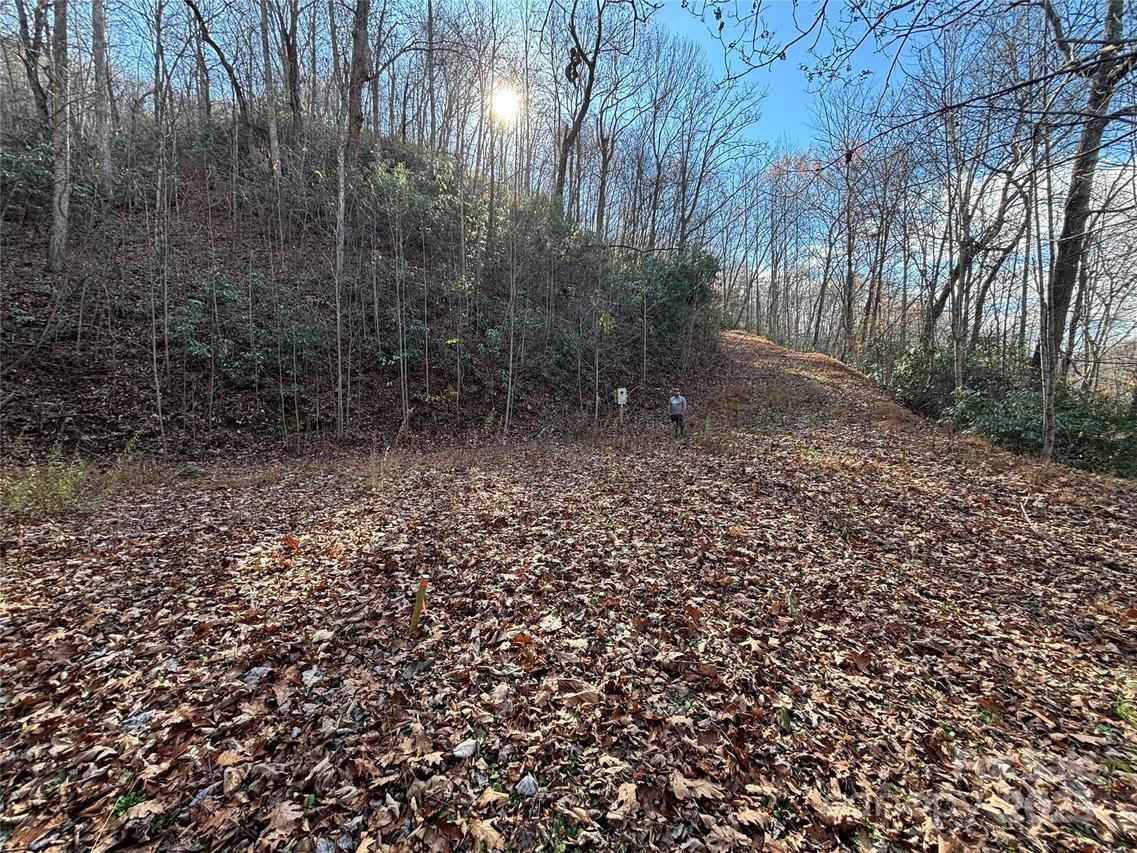 OFF Houston Farm Rd., Bryson City, NC 28713