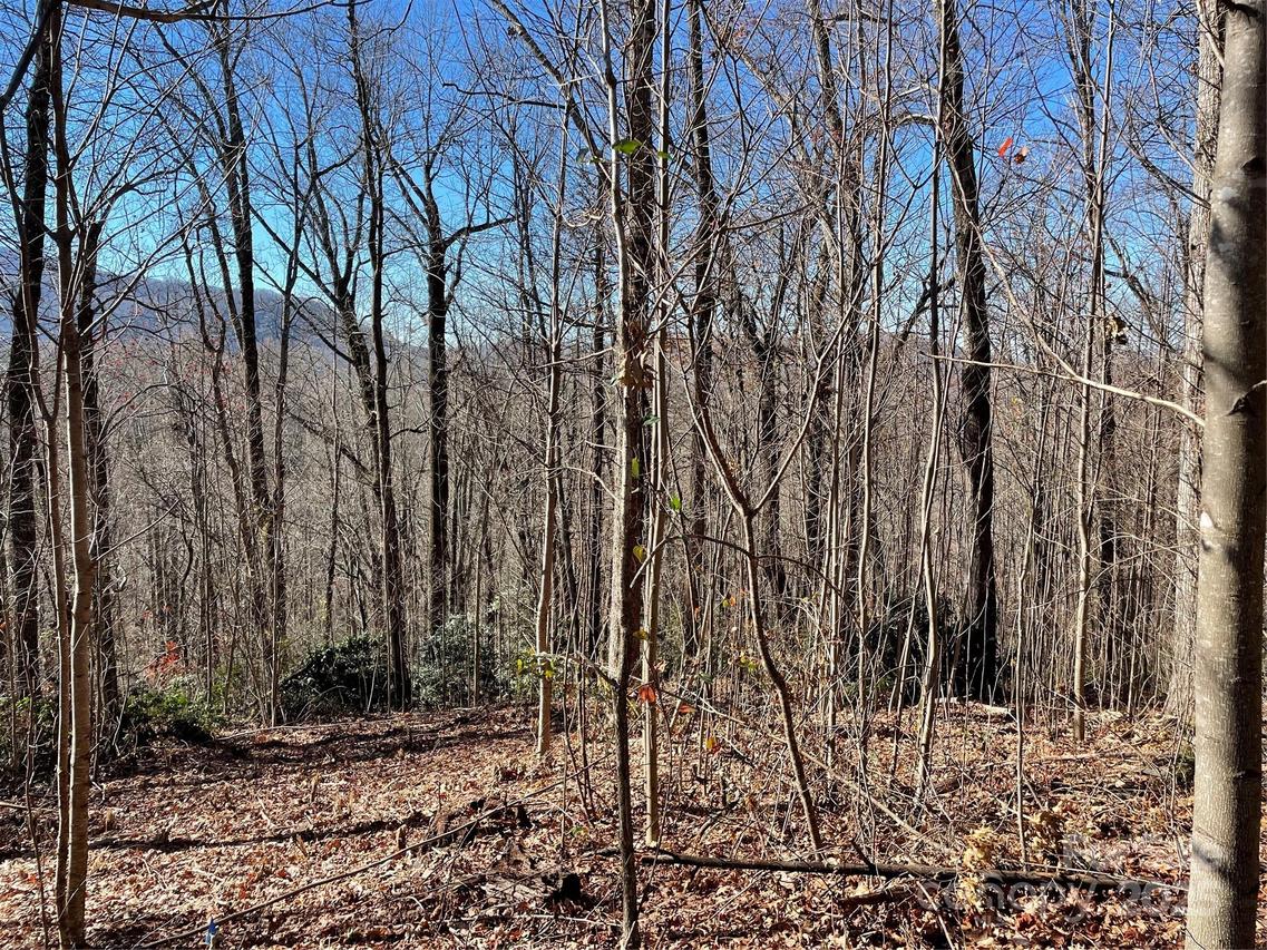 9999-1 Nesbitt Chapel Rd., Fairview, NC 28730