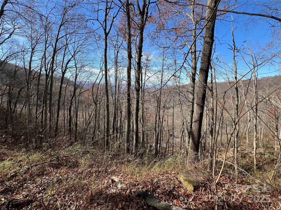 Lot 8 Falls View Dr., Bryson City, NC 28713