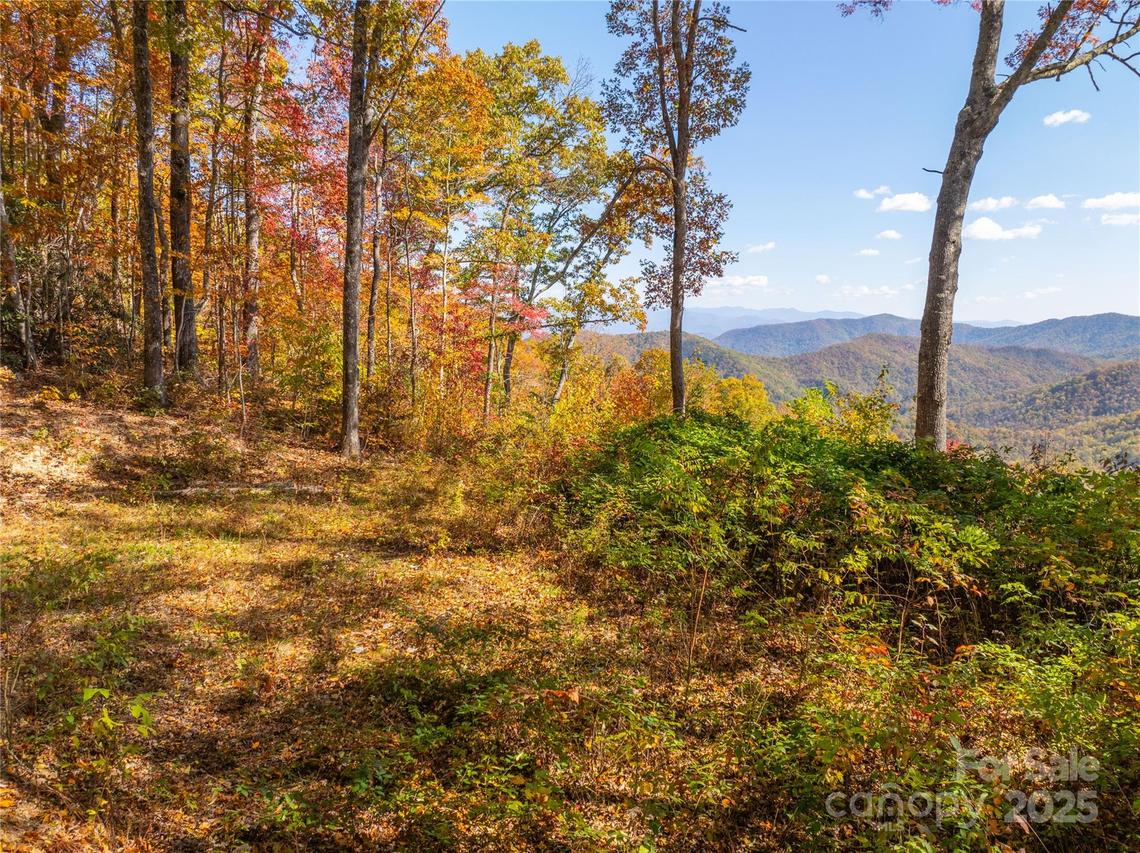 9999 Conleys Creek, Bryson City, NC 28713