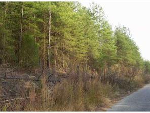 Lot 3 Webbed Foot Rd., Mooresville, NC 28117