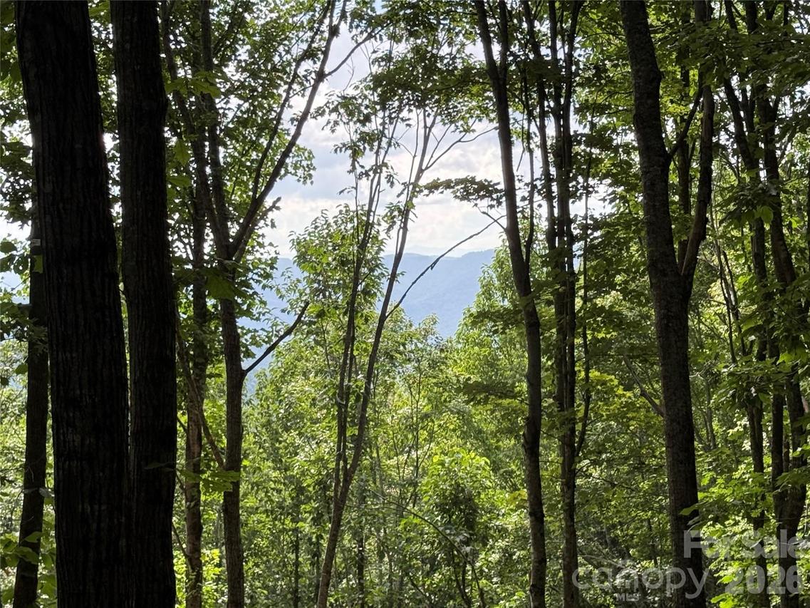 146 E Clubhouse Rd. #99, Sylva, NC 28779