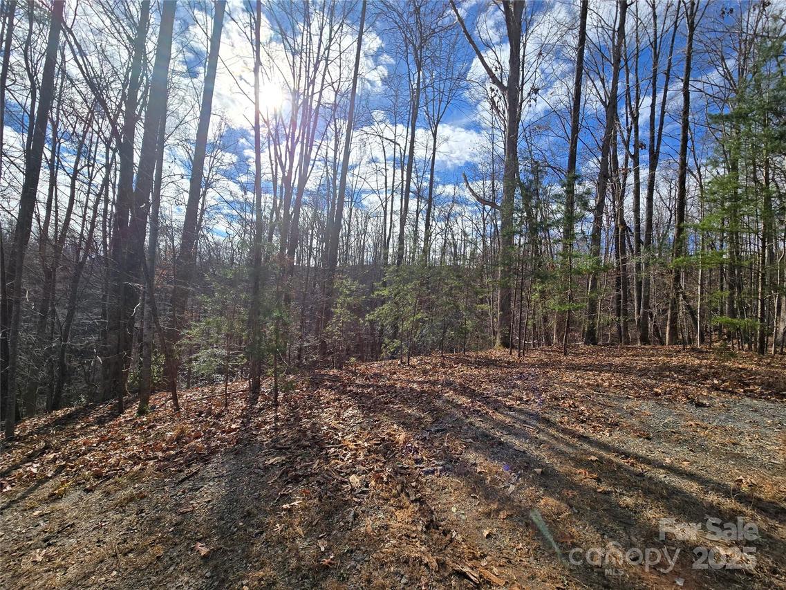 Lot 31 Acorn Ln., Lake Lure, NC 28746