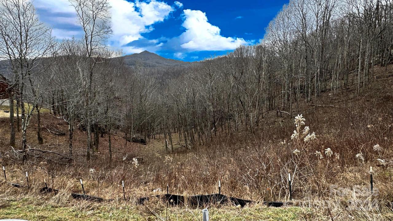 [Address Hidden by Seller], Banner Elk, NC 28604