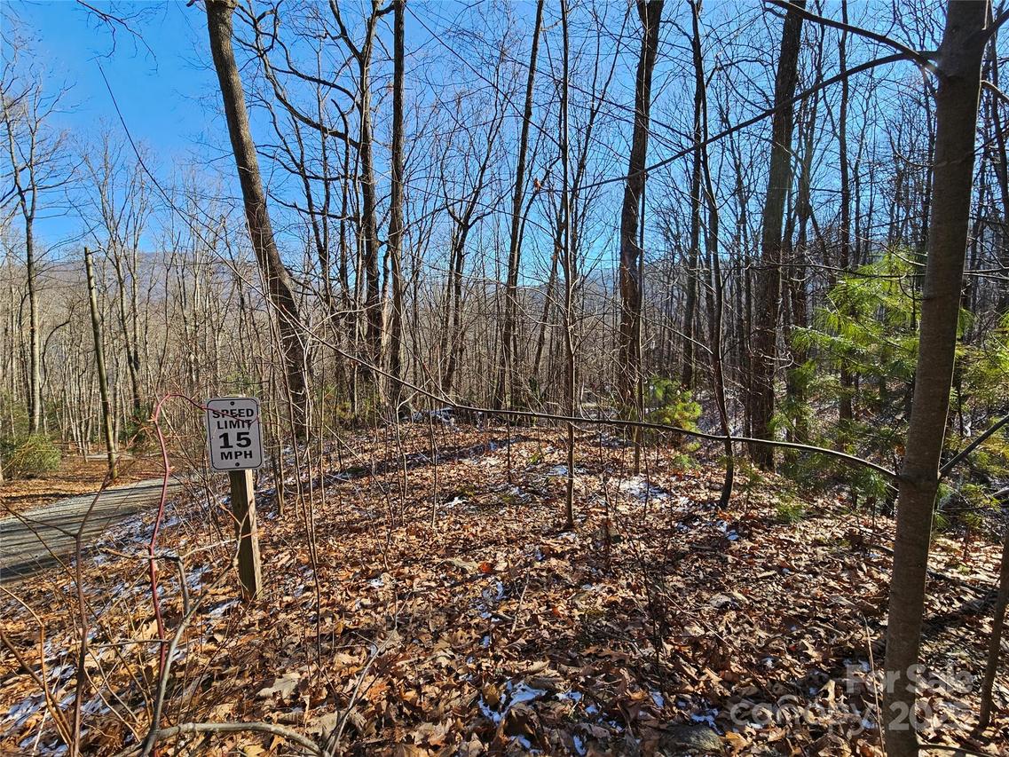 Libbies Ln. #6, Waynesville, NC 28786