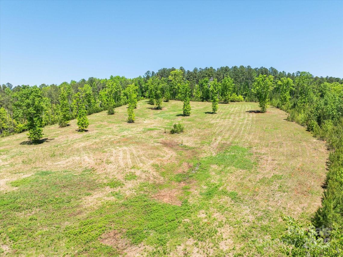 99999 Pea Ridge Rd., Mill Spring, NC 28756