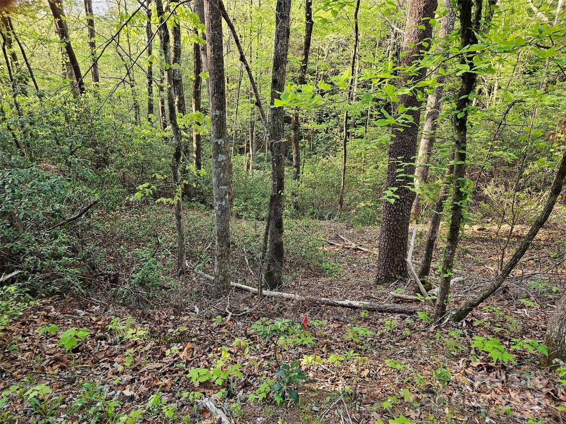 Huntington Rd. #54, Lake Lure, NC 28746