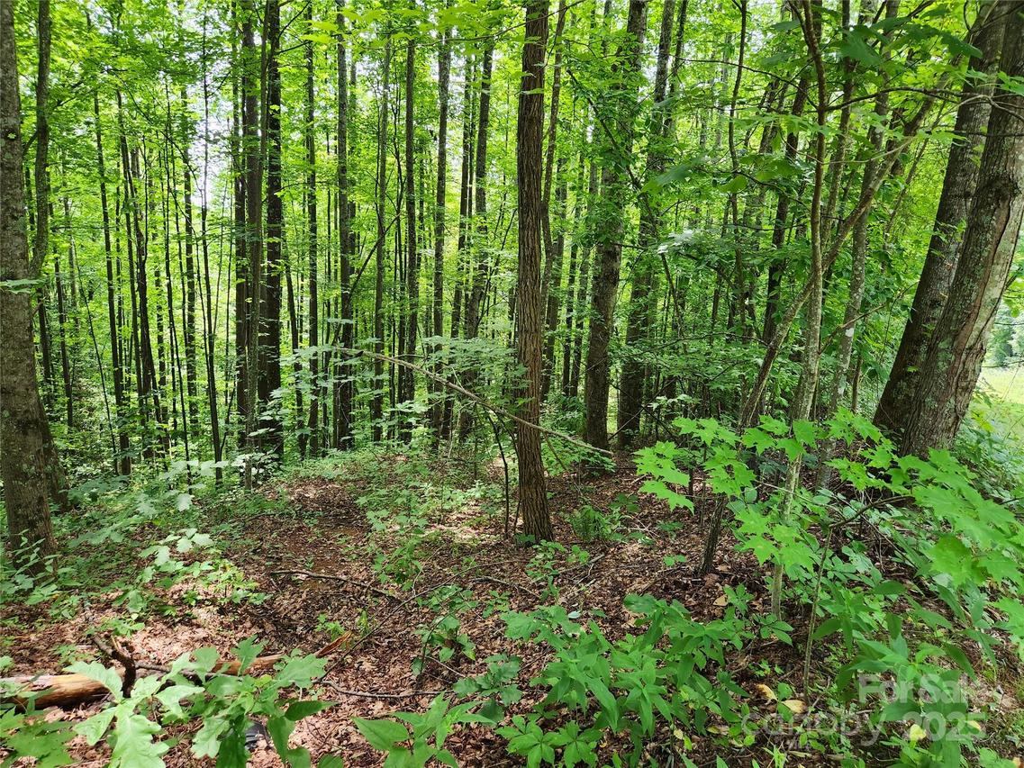 Lots 78&79 Mckenzie Way, Old Fort, NC 28762