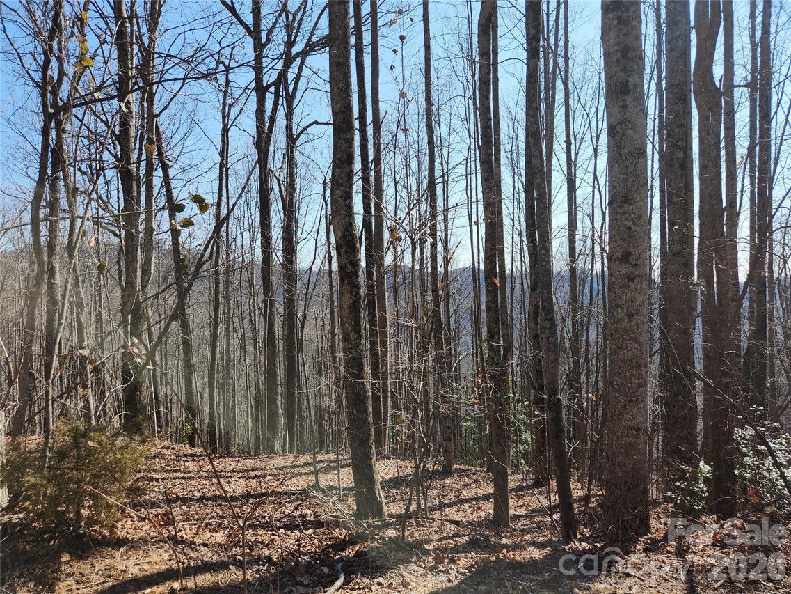 Lots 78&79 Mckenzie Way, Old Fort, NC 28762