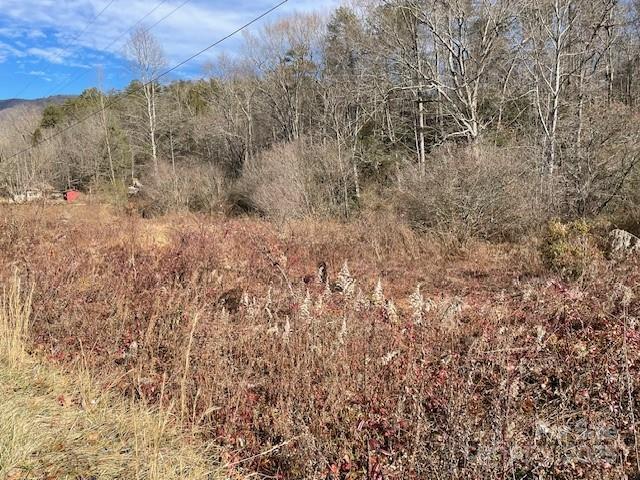 Off Mackey Creek Rd., Old Fort, NC 28762