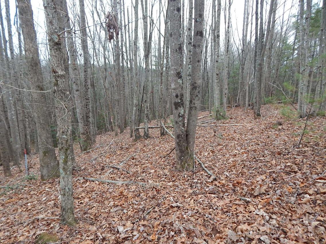1061 Round Rock Rd. #56, Lenoir, NC 28645