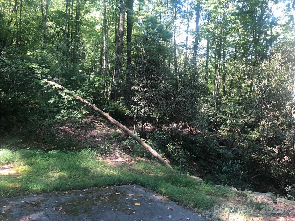 TBD Peppervine Cir. #94, Rosman, NC 28772