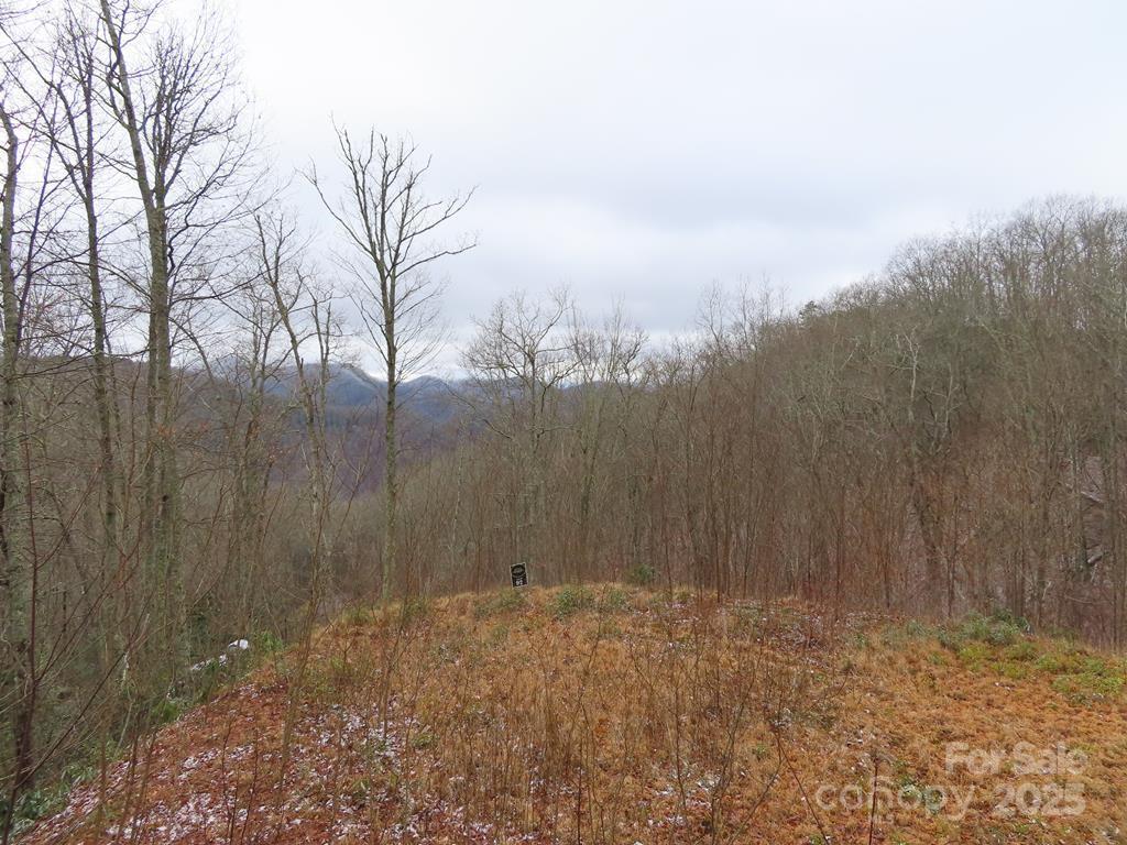 92 Alarka Highlands Rd., Bryson City, NC 28713
