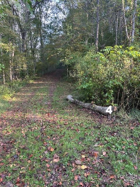 lot 4 Cloudy Hill Dr. #Lot 4, Clyde, NC 28721