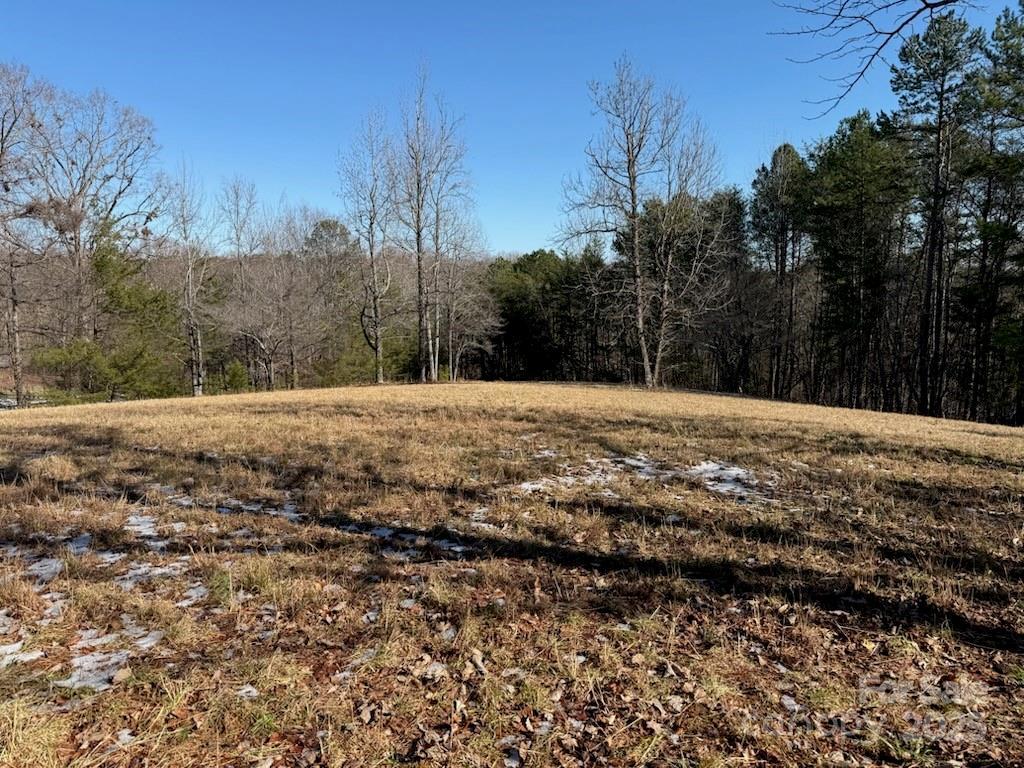 Springbrook Ln., Columbus, NC 28722