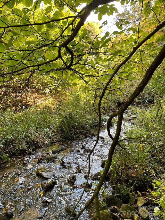 1201 Simms Fork Rd., Burnsville, NC 28714