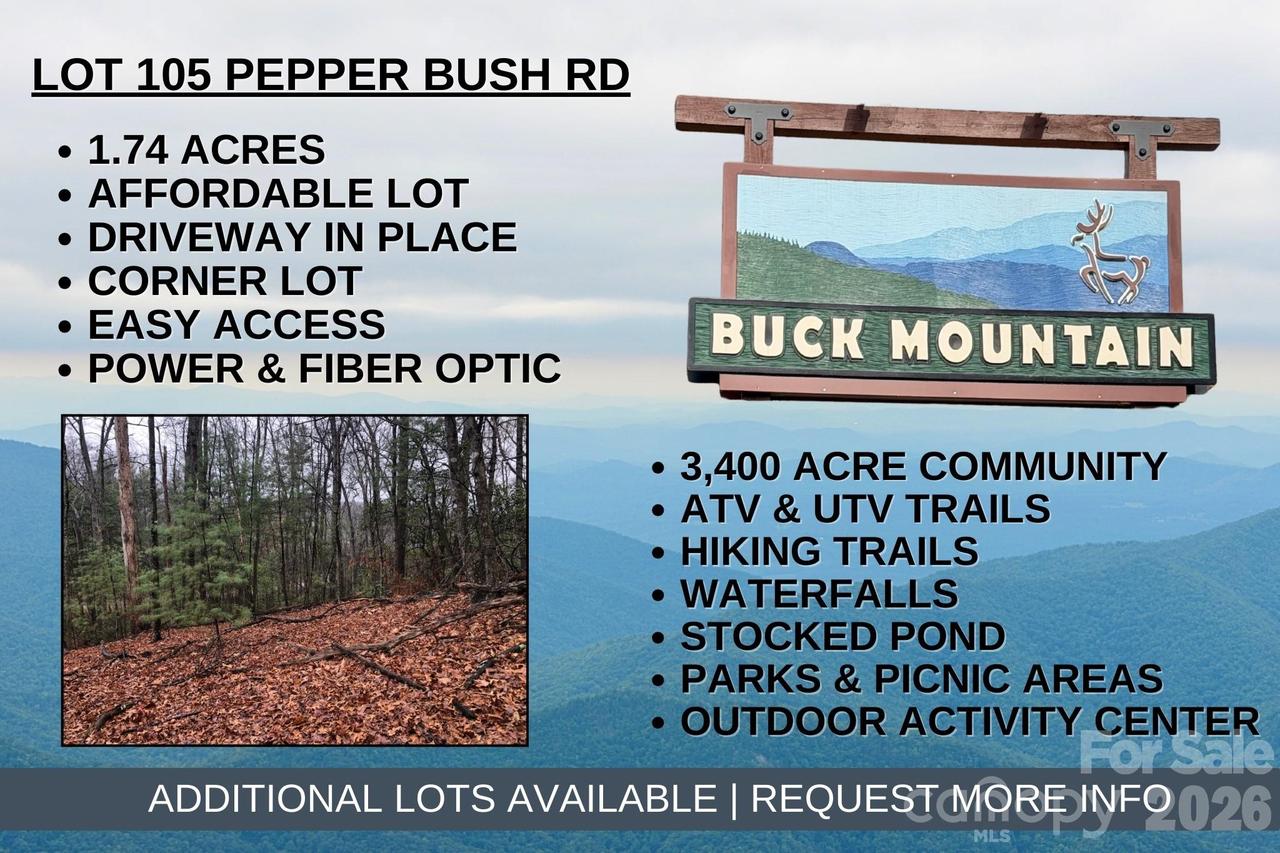 TBD Pepper Bush Rd. #105, Purlear, NC 28665