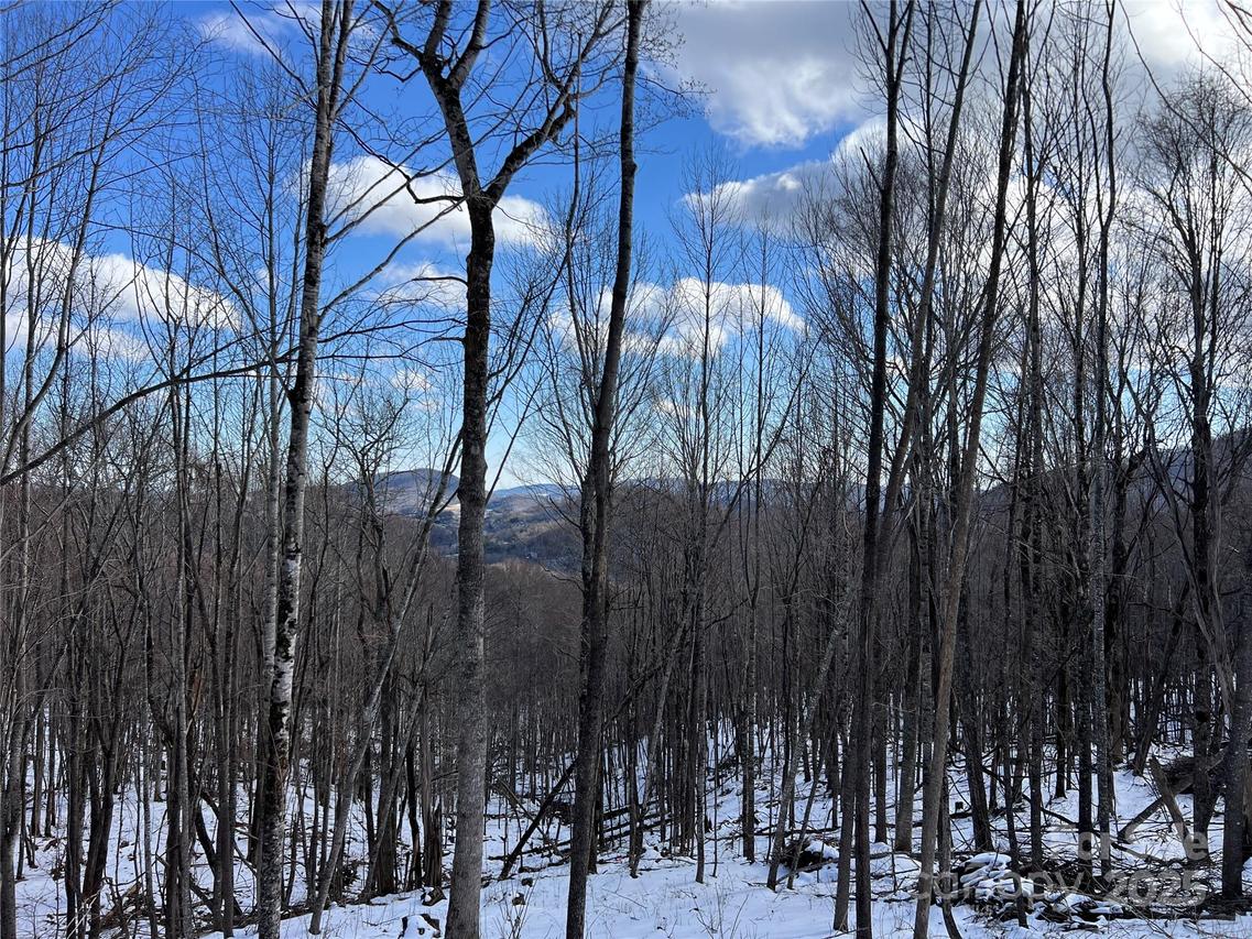 TBD (Lot 69) Poplar Forest Dr., Boone, NC 28607