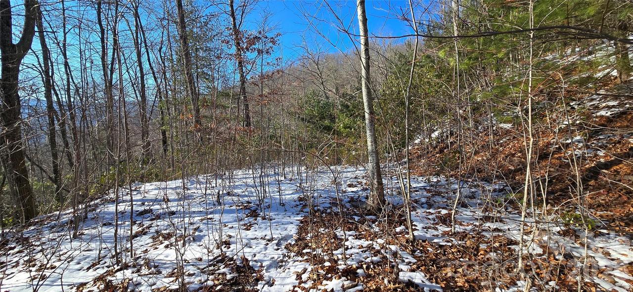 Lot 11 Bernies Tr., Waynesville, NC 28785