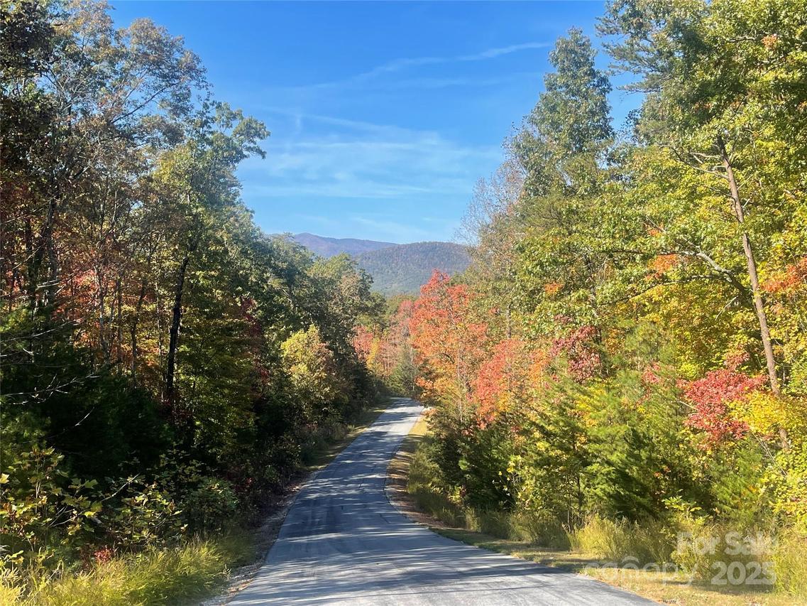 lot 46 Bald Eagle Ln. #46, Marion, NC 28752