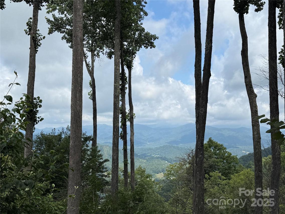 528 Andrew Banks Rd. #A/3, Burnsville, NC 28714