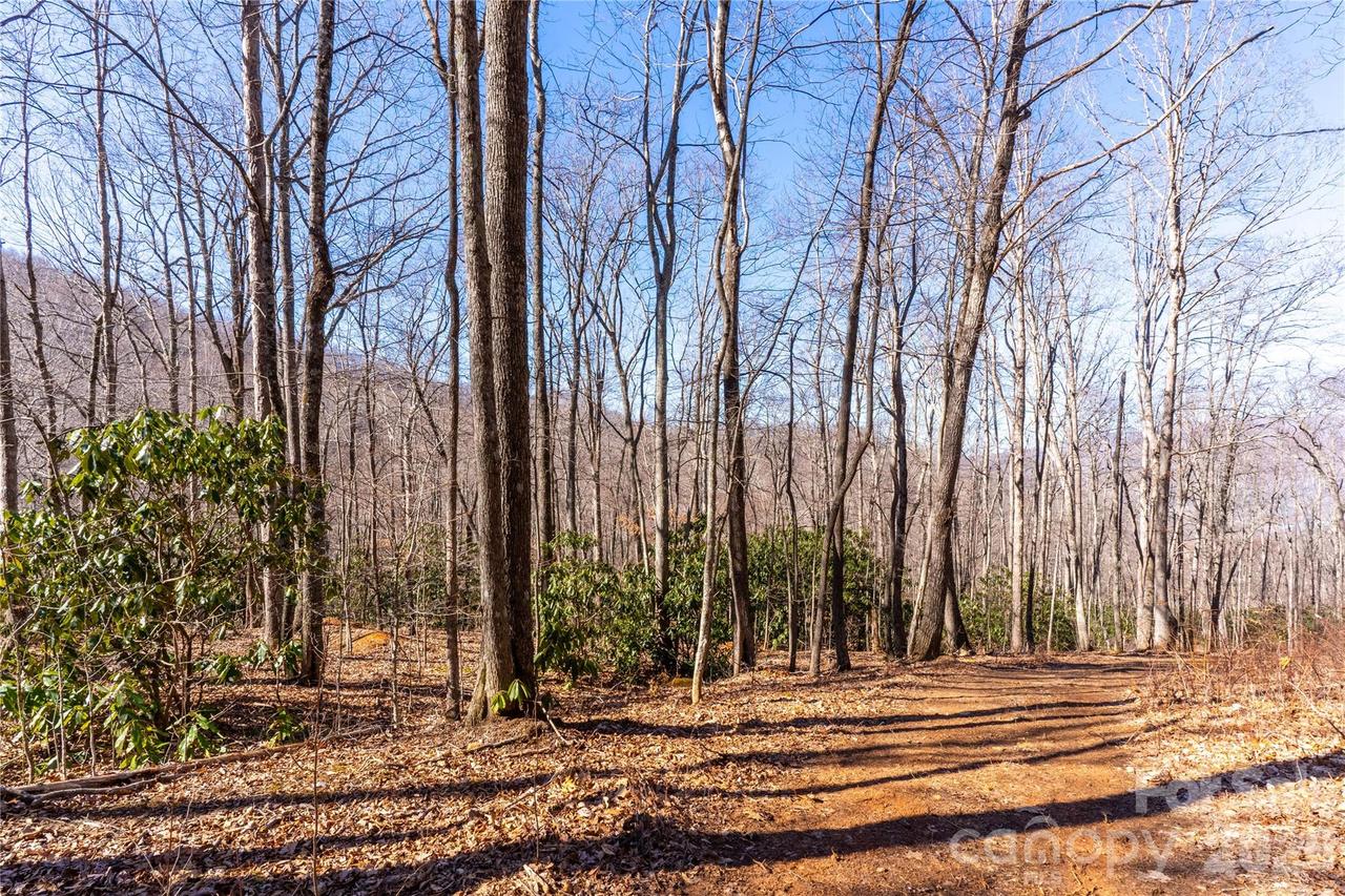 1248 Arborcrest Way #46, Swannanoa, NC 28778