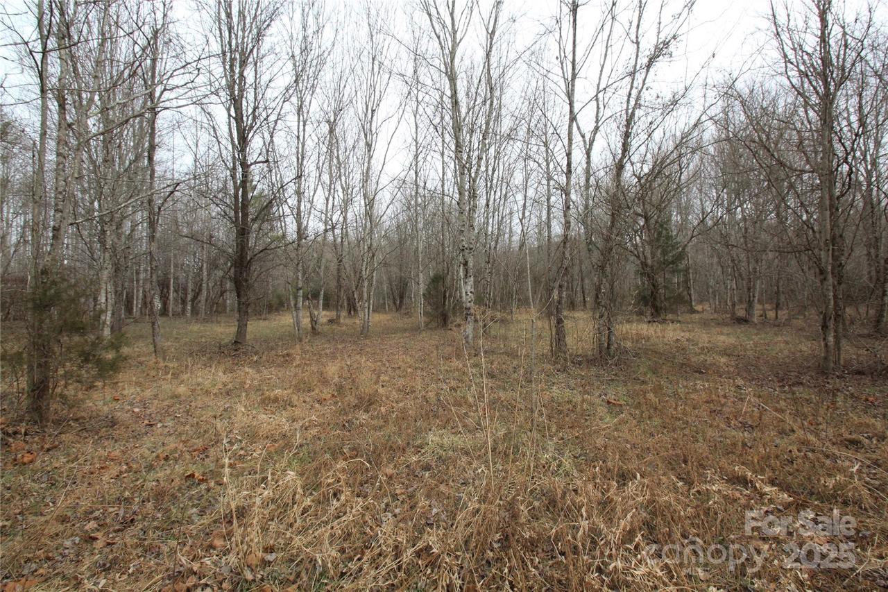 00 Marlowe Rd., Marion, NC 28752