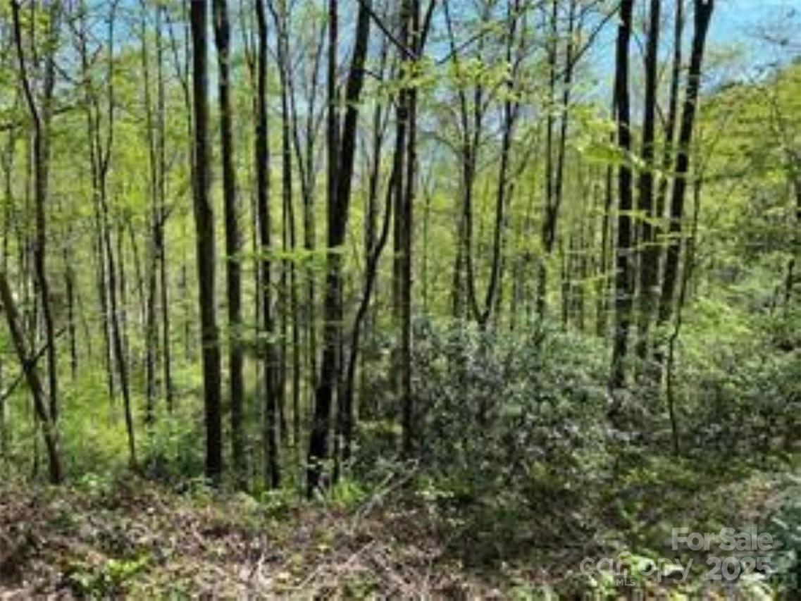 TR 6 Little Bit Tr., Whittier, NC 28789