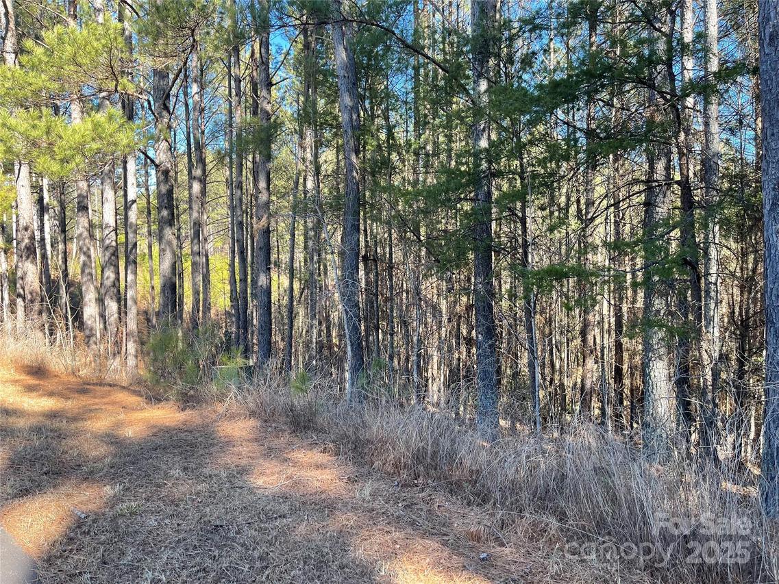 109 Shortoff Tr., Valdese, NC 28655