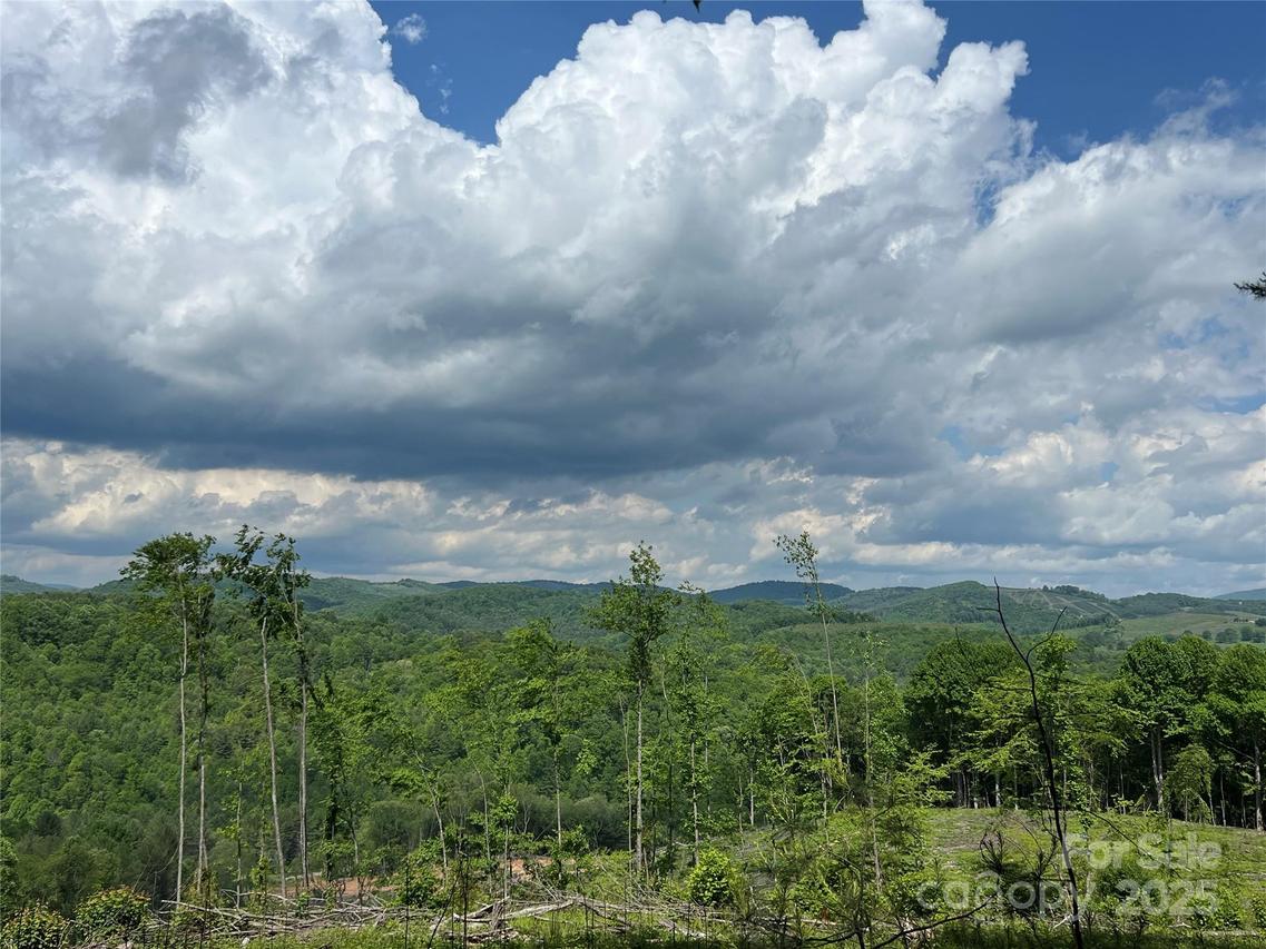 TBD Maines Hill Ln., Scottville, NC 28663