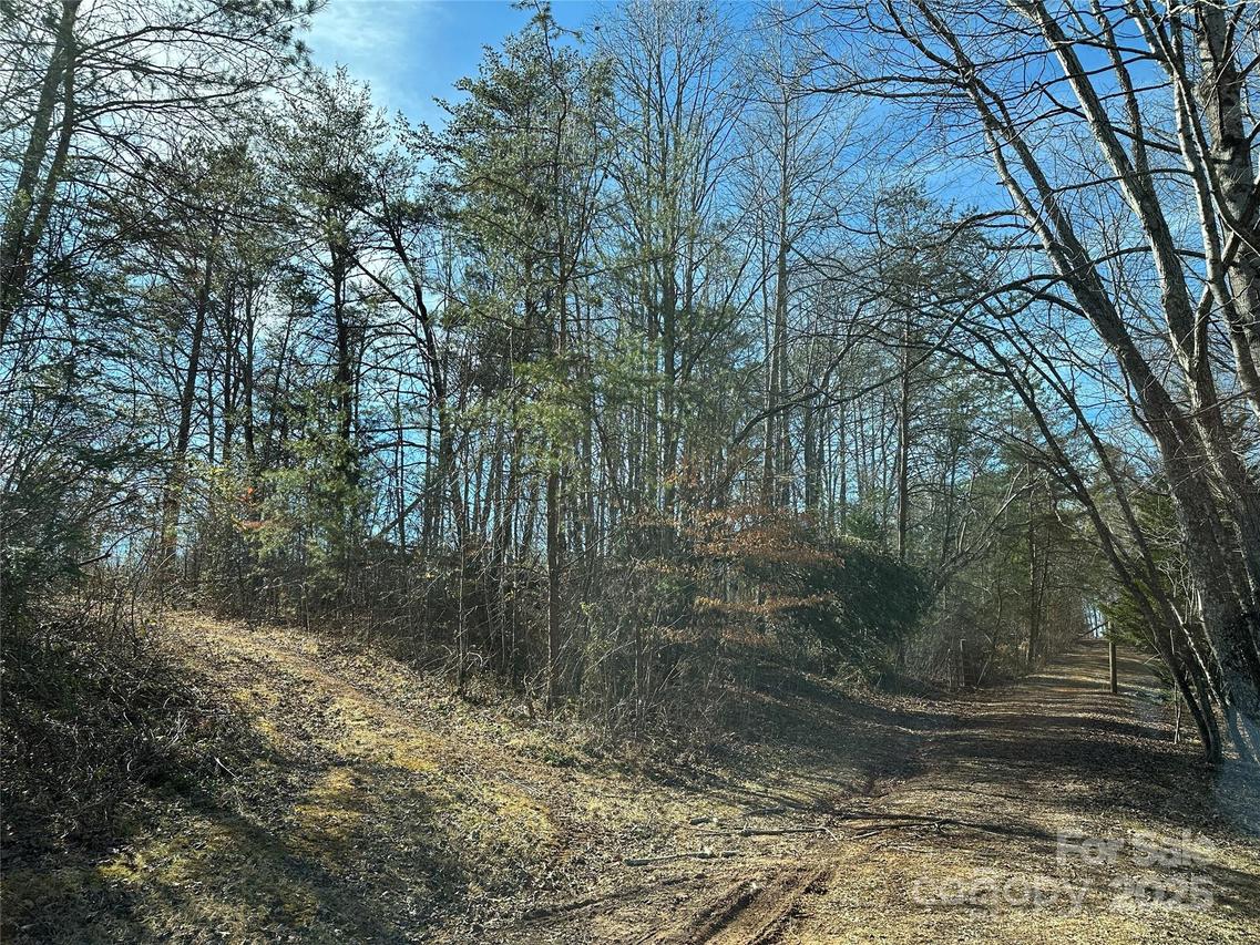Tract 2 Off Timber Rd., Marion, NC 28752