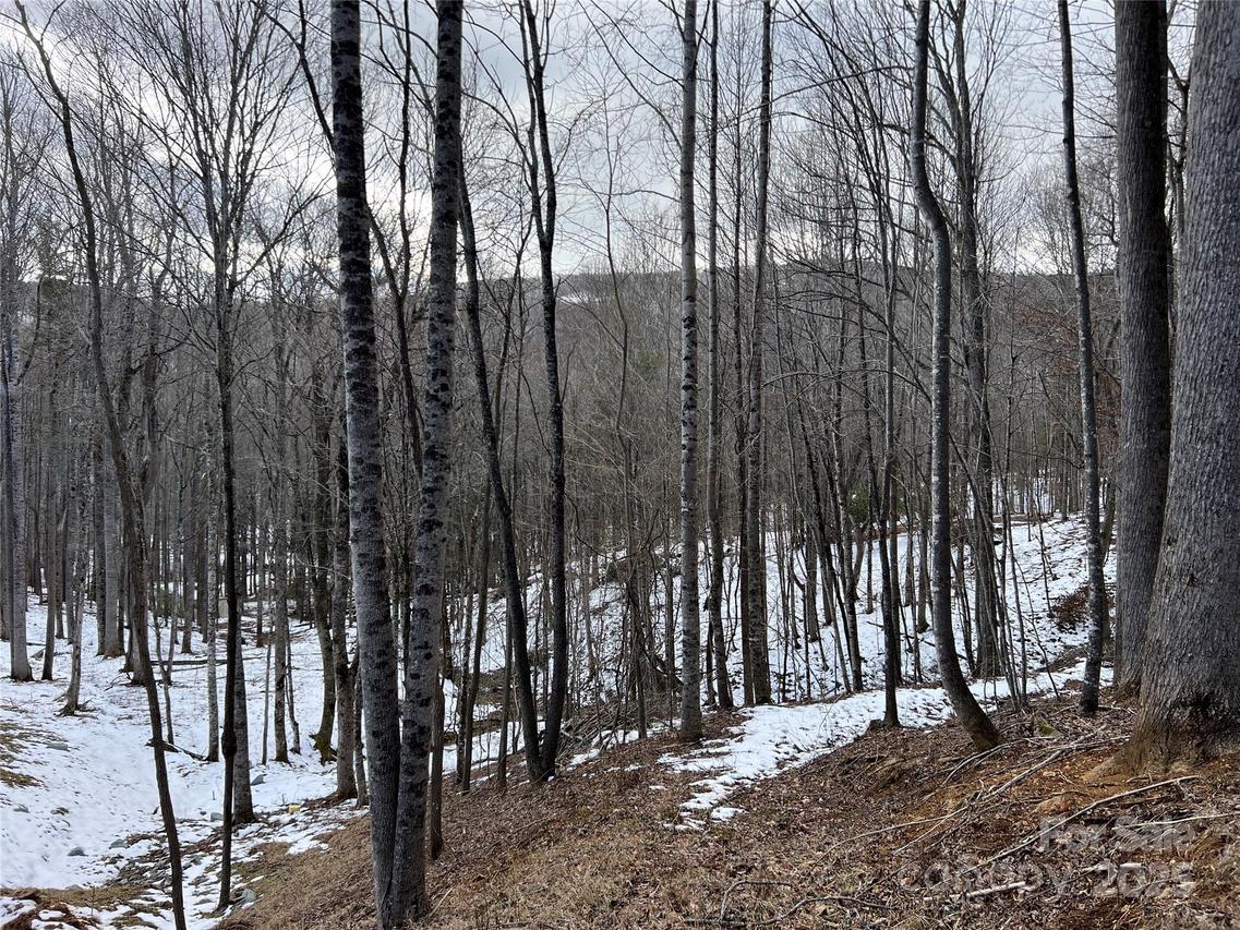 TBD (Lot 3) Poplar Forest Dr., Boone, NC 28607