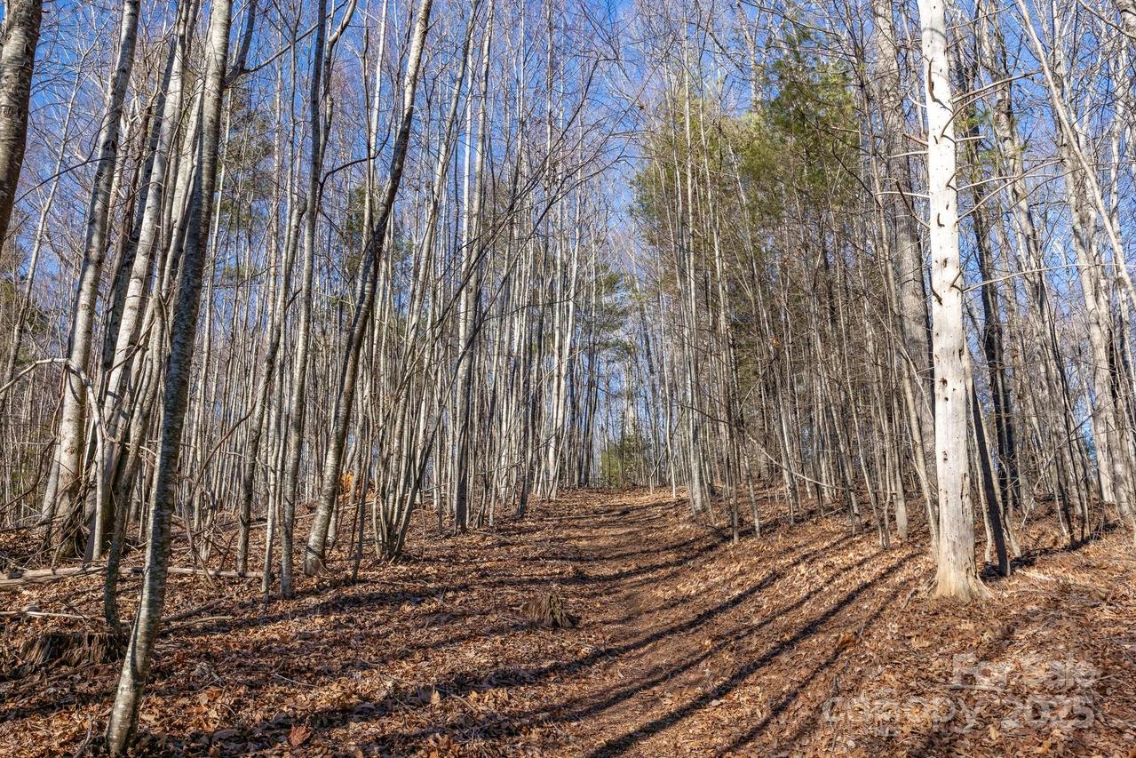 TBD Highway 221 Rd., Jefferson, NC 28640