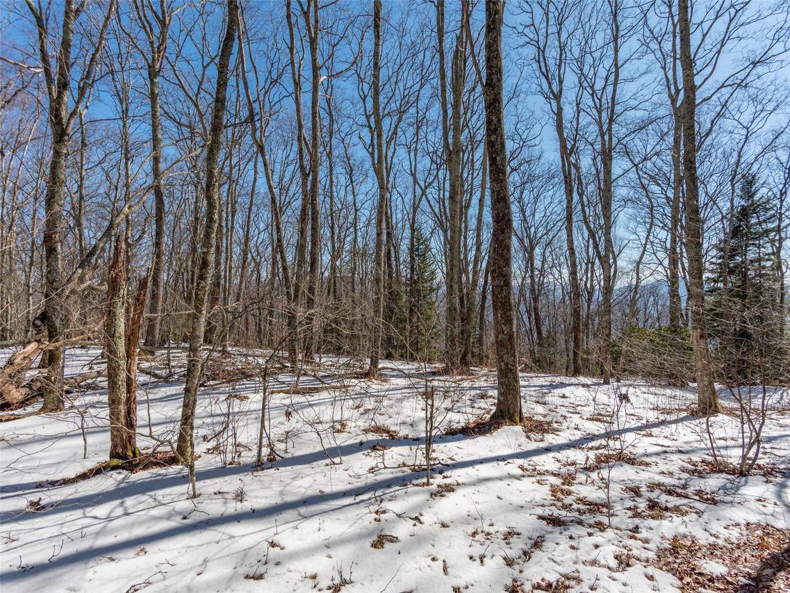 99999 Spruce Patch Ln., Sylva, NC 28779