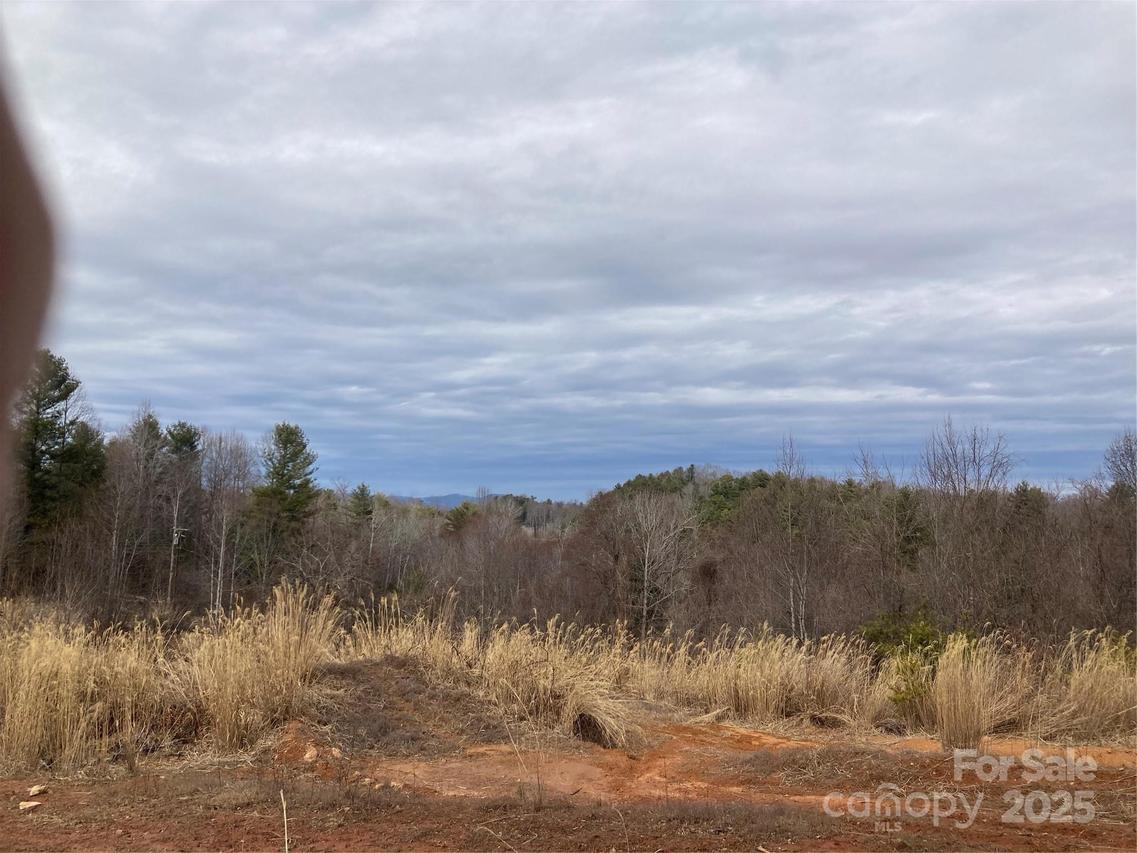 1638 Continental Divide Rd. #1, Flat Rock, NC 28731