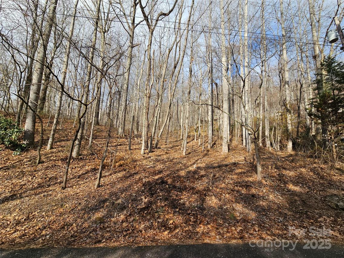 00 Timbercreek Heights #12, Maggie Valley, NC 28751