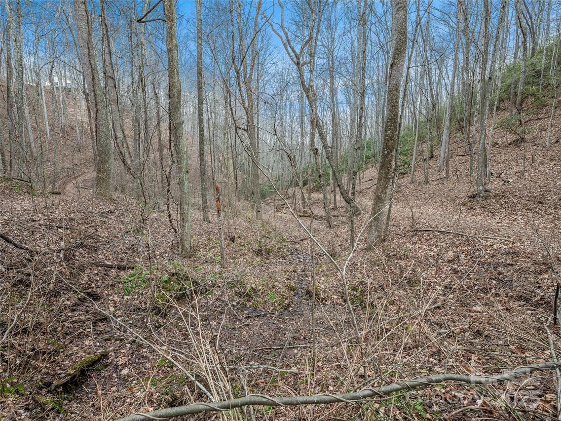 19 Mossy Rock Ln. #76, Leicester, NC 28748