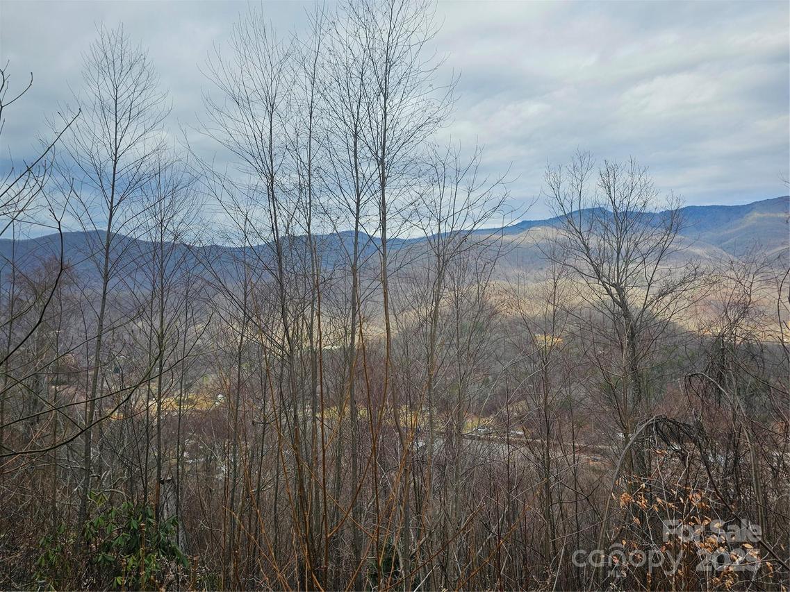 LT1 Varsity Dr., Sylva, NC 28779