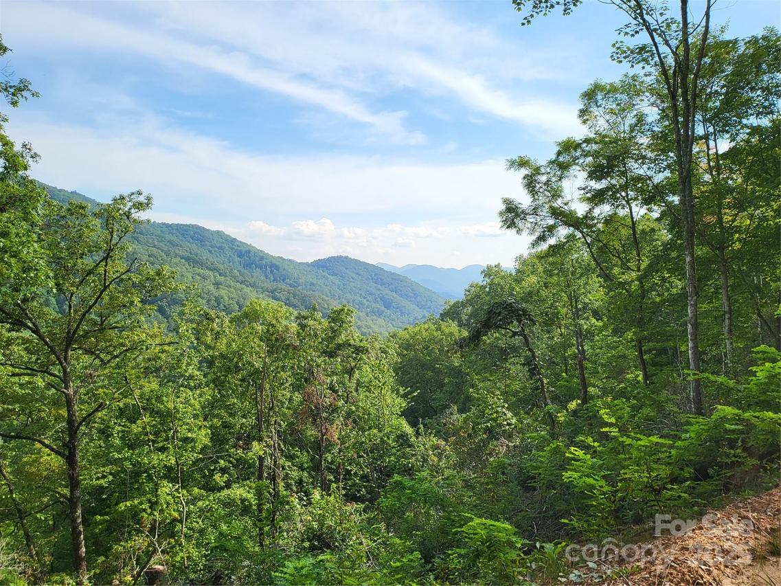 00 Wayehutta Rd., Cullowhee, NC 28723