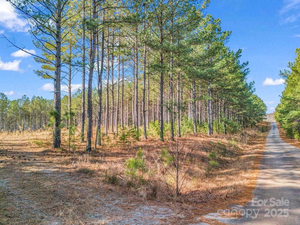 Moore Mountain Ln. #4, Ellenboro, NC 28040