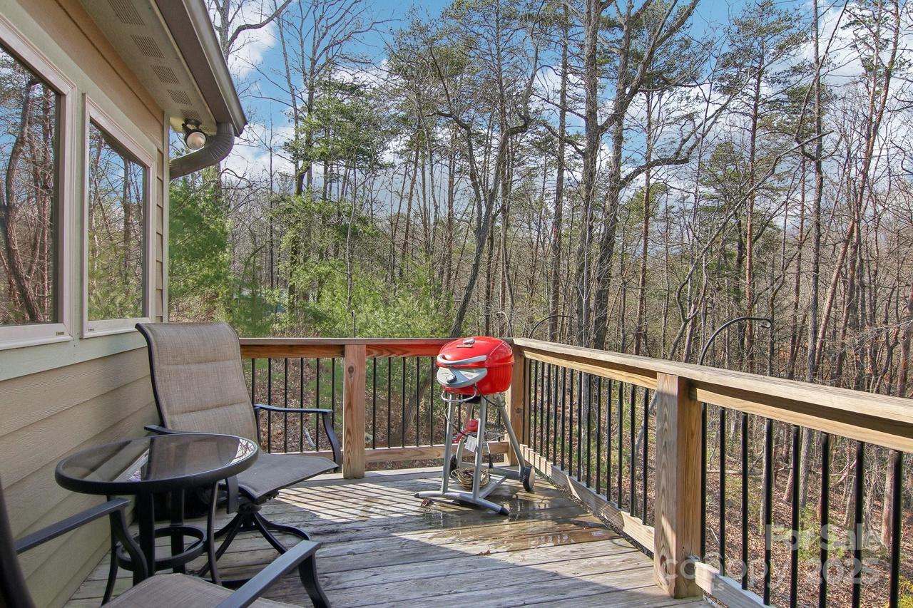 363 Luther Burbank Dr., Lake Lure, NC 28746